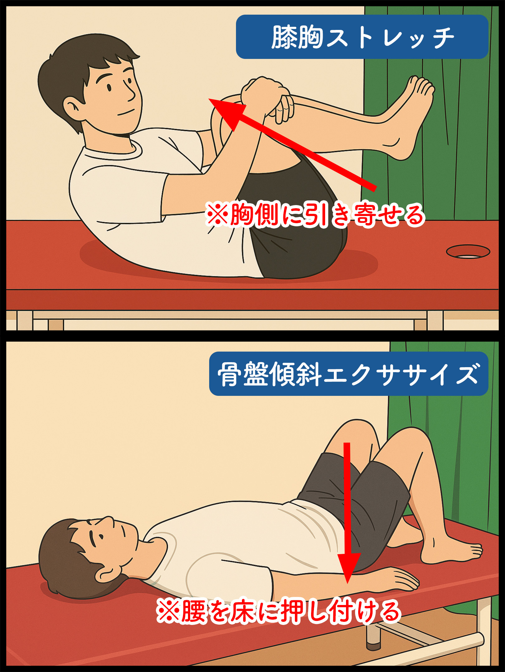 腰痛改善エクササイズ