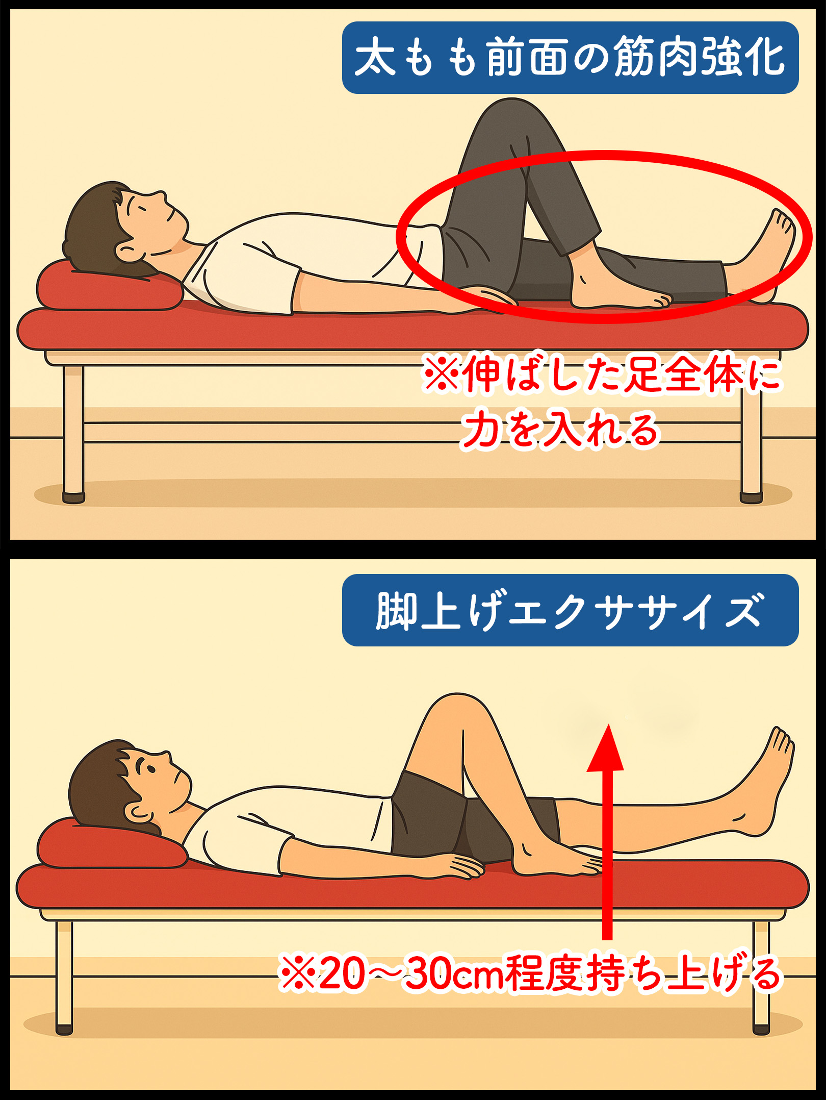 膝のエクササイズ